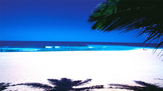 beach01