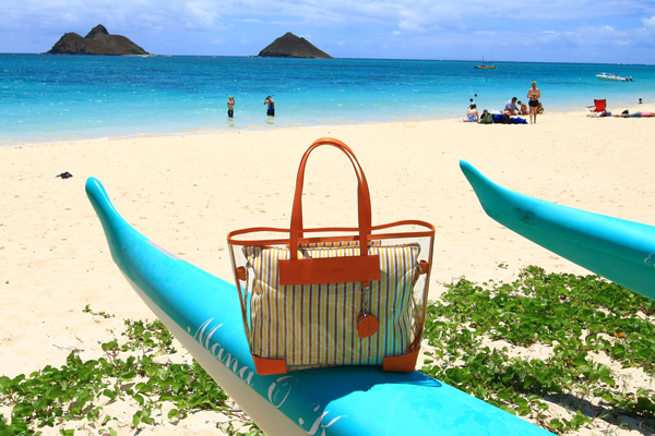 et_top_banner_about_hawaii