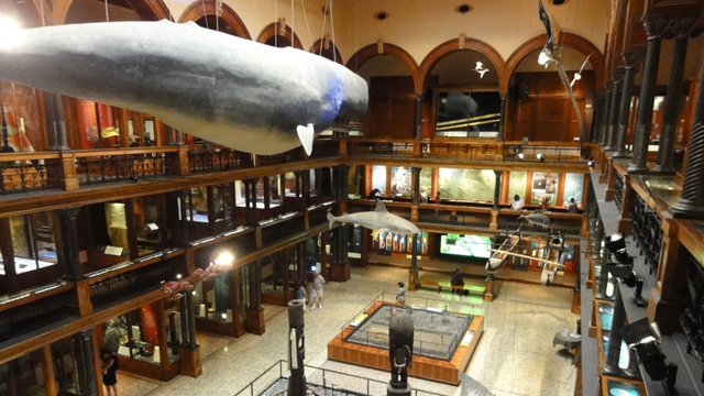 musium04